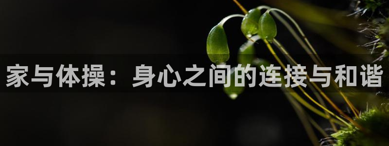 制胜体育在线下载：家与体操：身心之间的连接与和谐