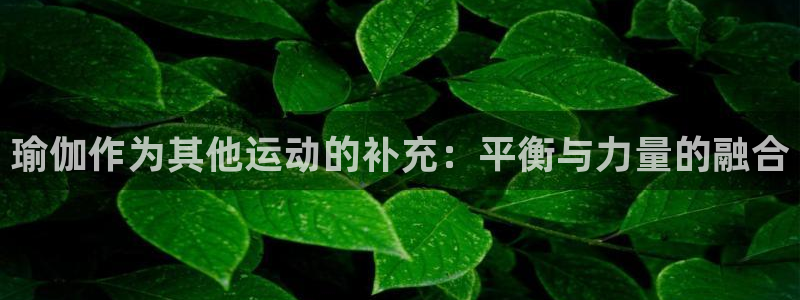 制胜体育官方正版下载app：瑜伽作为其他运动的补充：平衡与力量的融合