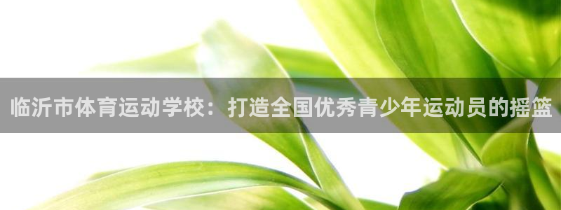 制胜体育网页版：临沂市体育运动学校：打造全国优秀青少年运动员的摇篮