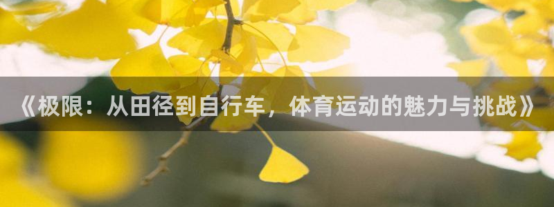 制胜体育下载官网app：《极限：从田径到自行车，体育运动的魅力与挑战》