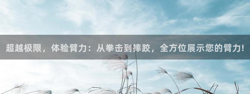 制胜体育能看直播吗：超越极限，体验臂力：从拳击到摔跤，全方位展示您的臂力!