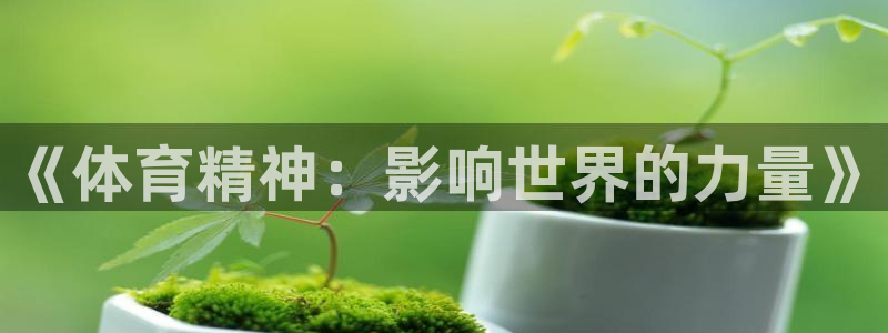 制胜体育怎么安装app：《体育精神：影响世界的力量》