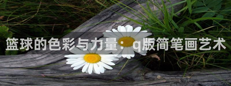 制胜体育怎么安装app：篮球的色彩与力量：q版简笔画艺术