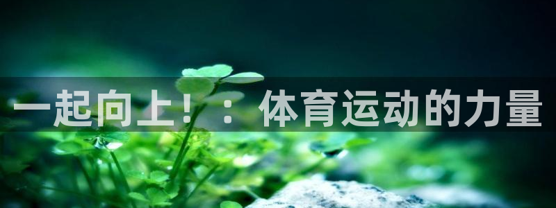 制胜体育篮球直播在线观看：一起向上！：体育运动的力量