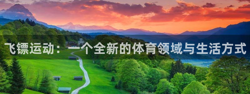 制胜体育app下载：飞镖运动：一个全新的体育领域与生活方式