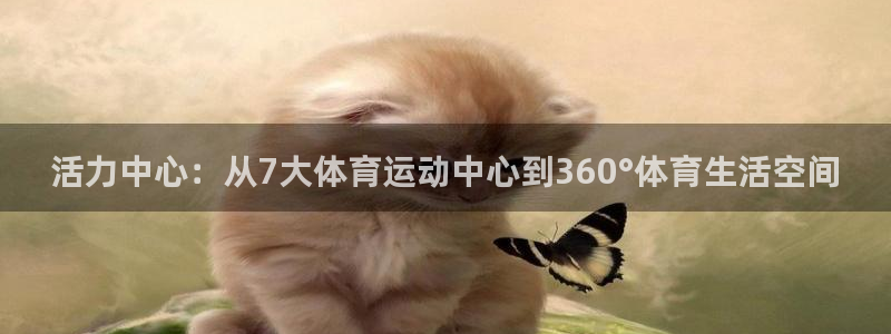 制胜体育APP下载安装：活力中心：从7大体育运动中心到360°体育生活空间
